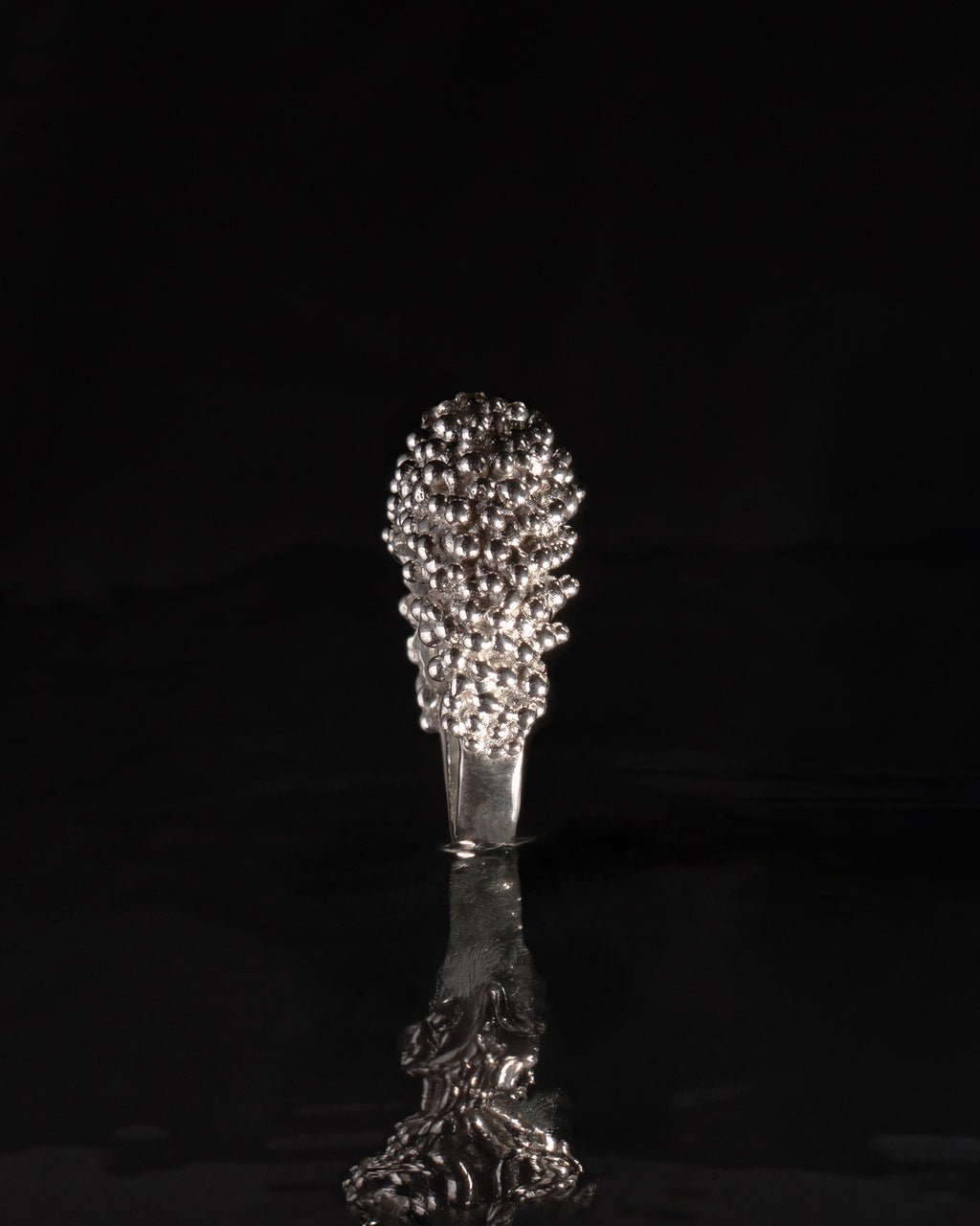 Ring No. 6