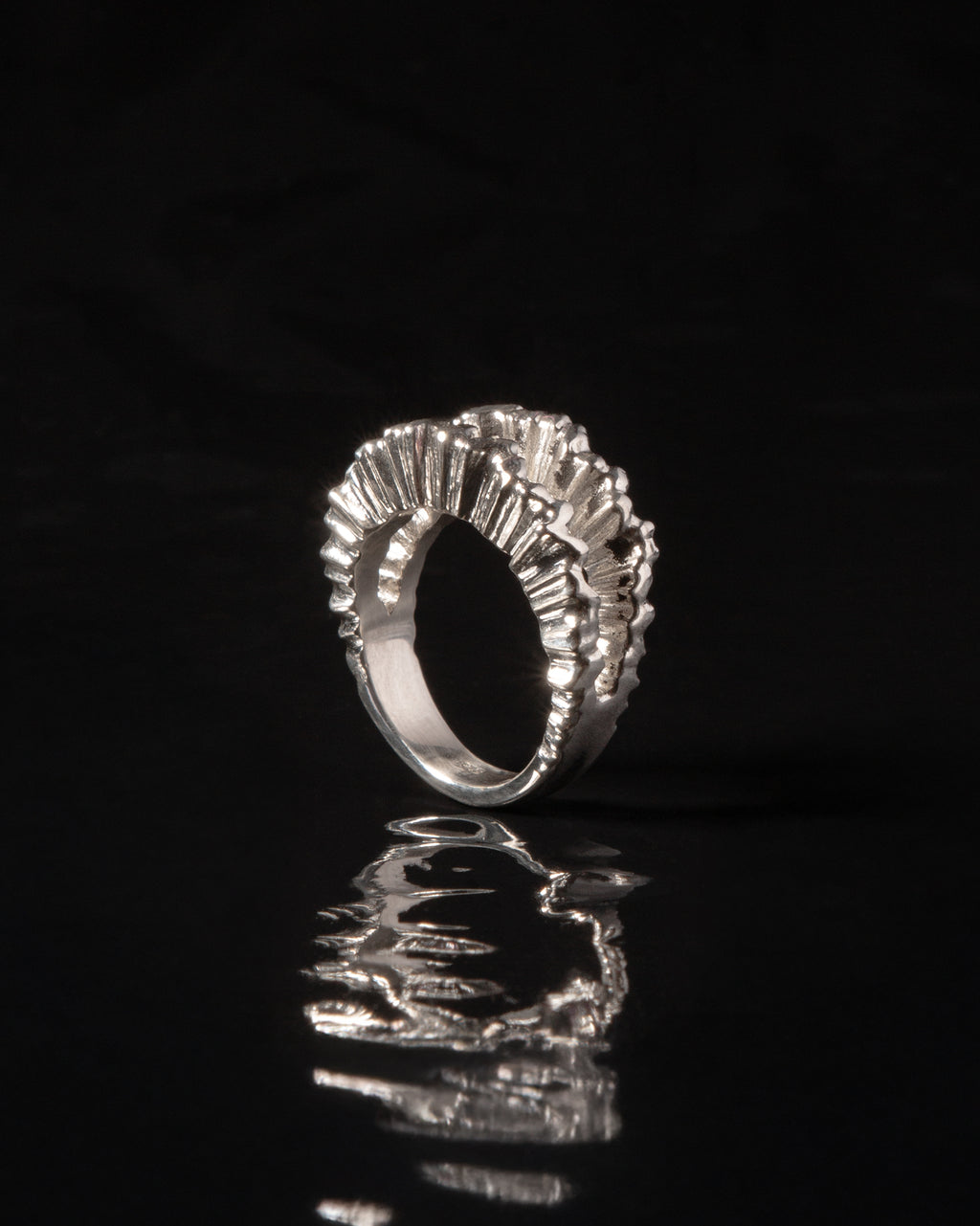 Ring No. 7